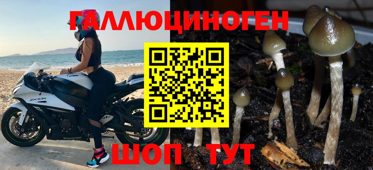 Псилоцибиновые грибы ЛСД Троицк