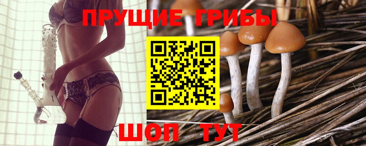 Галлюциногенные грибы Psilocybine cubensis  Галлюциногенные грибы MAGIC MUSHROOMS  Троицк  Вход с VPN 
